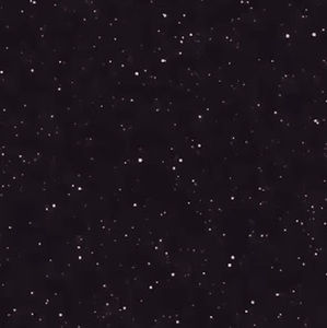 Meet your Posher, Omar